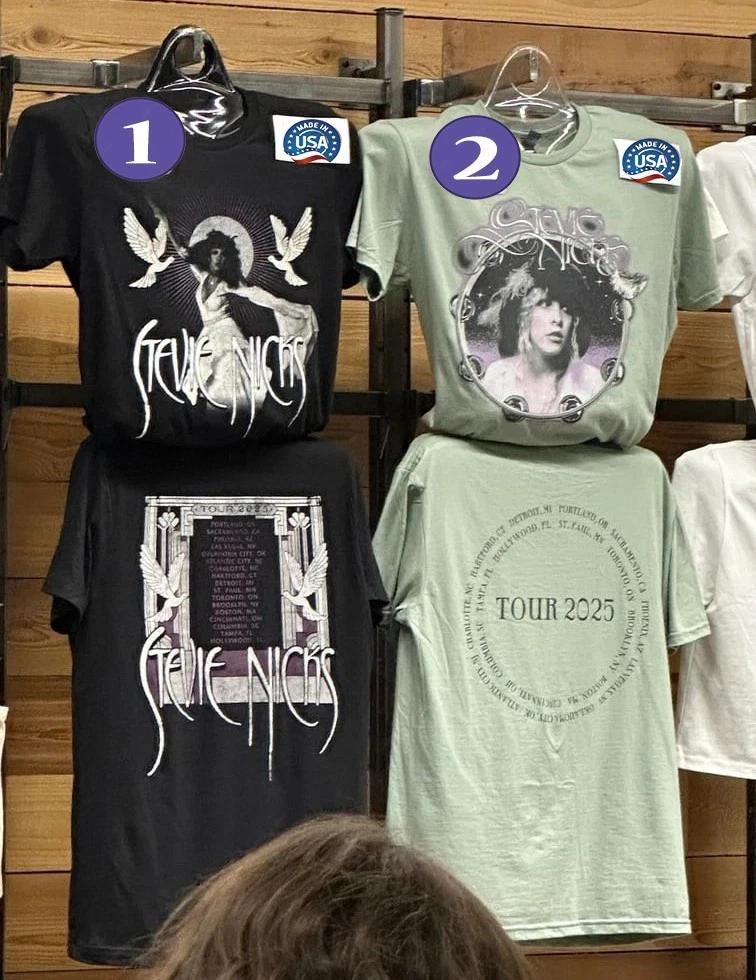 

NEW! Stevie Nicks Tour Merch 2025 in Portland OR T-Shirt Remake Gildan S
