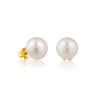 [TOUS] 18K Gold Pearl 10mm Earrings 1000101400