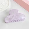 Hair Claw for Women, Smooth Rounded Edges Hair Clip, Anti-slip Teeth Back Head Hair Clip, No Hair Damage Versatile for Long Short Hair Daily Use