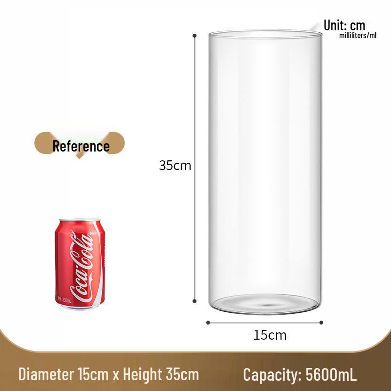 Straight Cylinder Glass Vase for Pothos and Hydroponic Decor