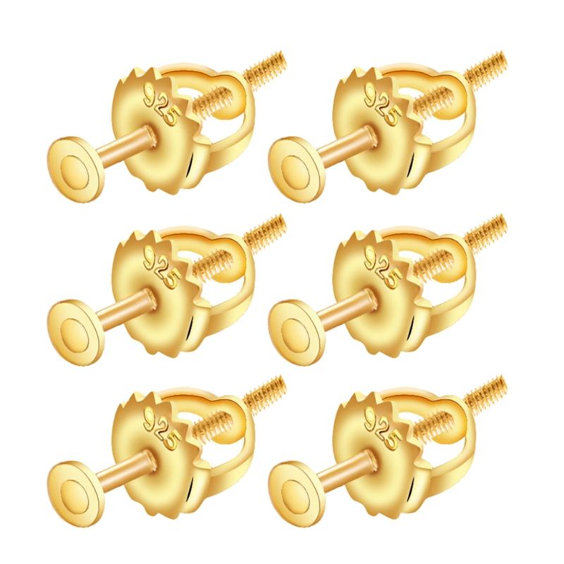 Stainless Steel Screwbacks Earring Backs Replacements for Posts Earring Backings Secure for Studs Hypoallergenic Locking