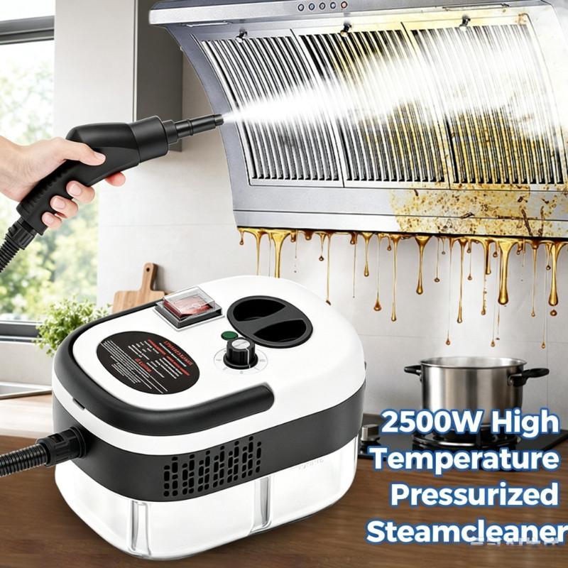 2500W High Temperature Pressurized Steam Cleaner Small Handheld Rapid Heating Steam Cleaning Machine