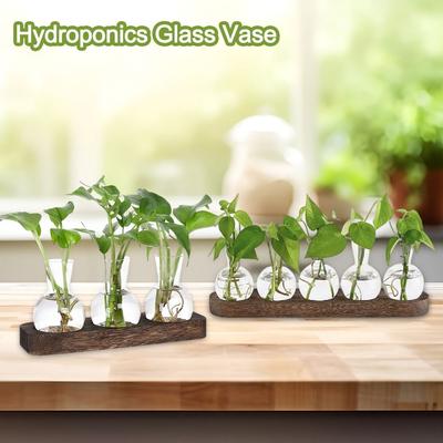 Creative Transparent Hydroponics Glass Vase with Wooden Tray Bud Vases Glass Planter Flower Vase Home Decoration