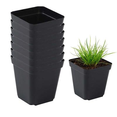 50 Stück Anzuchttöpfe für Pflanzen, Anzuchttöpfe, Anzuchttöpfe aus Kunststoff, Blumenbehälter, Setzlingsbecher, quadratisch, schwarz