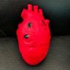 Scary Simulated Heart for Halloween Party and Horror Props Realistic Body Decoration Frightening Body Part Ornament