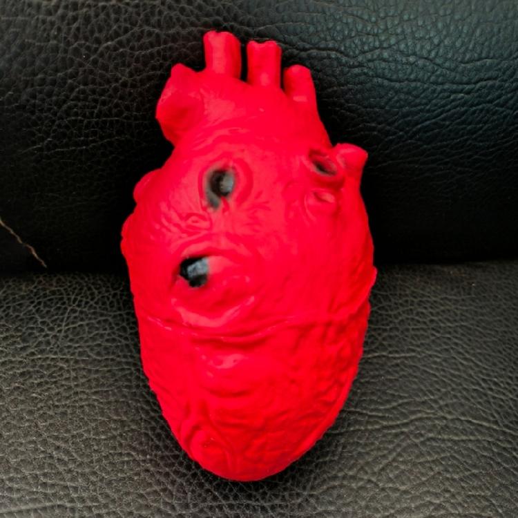 Scary Simulated Heart for Halloween Party and Horror Props Realistic Body Decoration Frightening Body Part Ornament
