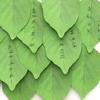 Kawai Stationery Simulated Tree Leaf Sticky Notes Simple Pad Message Stickers Creative Simple and Convenient Wish N Times Lovely