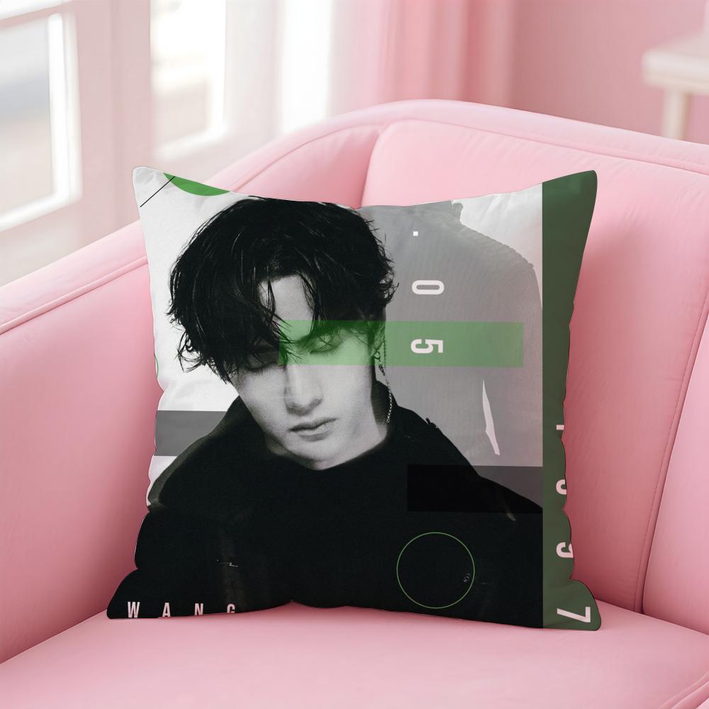 WWang Yibo Cushion Cover Soft Plush Throw Pillow Cushion CoverDoubleSided Printed Pillow Case for Sofa Home Decor