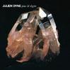 CD JULIEN DYNE  Pins  Digits BBE143ACD BBE 2009 Japan Dance  Electronica Used