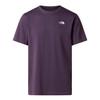 The North Face Mens Simple Dome Regular T-Shirt