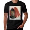 Piero Barone Von Il Volo T-Shirt Basic Rundhals Kurzarm Top