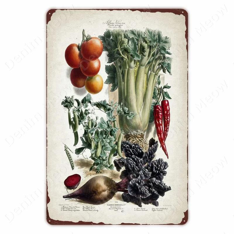 VegFruitVintageSign Vegetable Plants Retro Poster - Fruits/Cauliflower Vintage Metal Tin Sign, Garden/Kitchen Farm Wall Decor