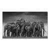 Animali moderni Poster e stampe Wall Art Canvas Painting Elefanti africani Immagini di mandrie per soggiorno Cuadros Decor Senza cornice