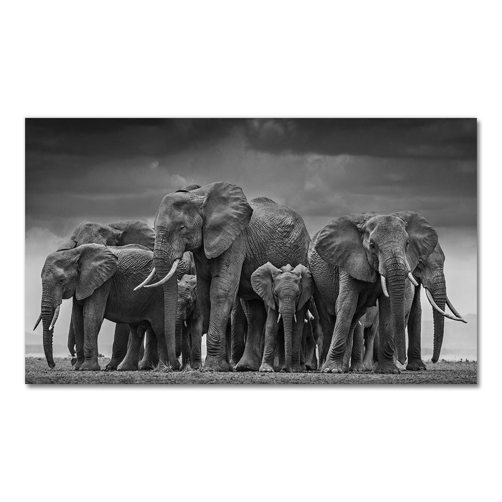 Animali moderni Poster e stampe Wall Art Canvas Painting Elefanti africani Immagini di mandrie per soggiorno Cuadros Decor Senza cornice