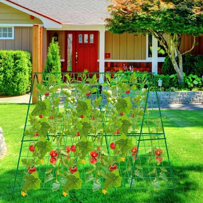 Cucumber Trellis for Garden 48 Inch A-Frame Plant Trellis Set with Net And Ties Climbing Vegetable Support Trellis for Cucumbers Tomatoes Grapes