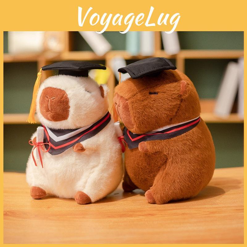 Capybara Doctor Student Plush Toy Stuffed Doll Graduation Gift Decoration 23cm