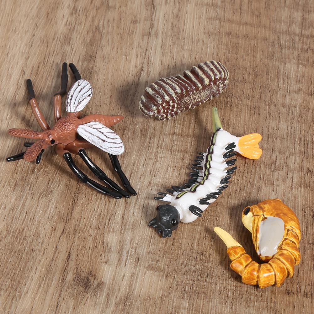 Mosquito Growth Cycle Model Children Miniature Simulation Animal Early Education Statue Toy