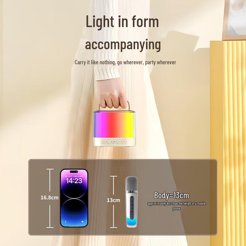 SANSUI V1 Wireless Bluetooth KTV Speaker with Microphones