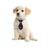 30/50PCS Dog Grooming Pets Dogs Neckties Small Dog Bowties Dog Grooming Accessories For Large Dogs Ties Pet Supplies