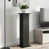 Plant Stand 2 Pcs Black 30.5 X 30 X 100.5 Cm