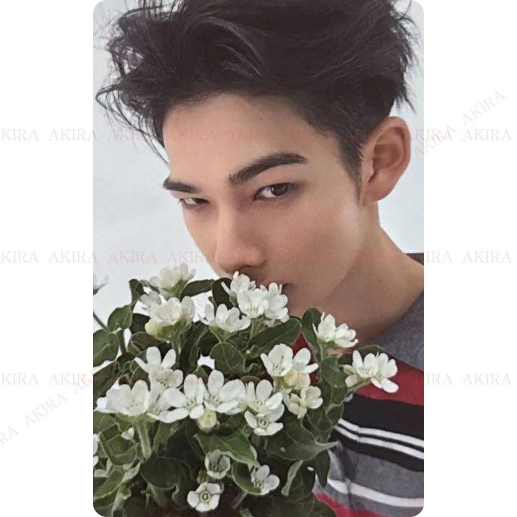 ENHYPEN JAPÓN 4º SINGLE -YOI- ÁLBUM FOTOCARTA JAPÓN POB SORTEO OFICIAL