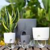 5Pcs Self Absorbing Transparent Flowerpot,Inner Air Hole, Prevention of Plant Root,Office, Hotel, Home Decor