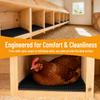6pcs Breathable Chicken Egg Laying Accessory PE Chicken Bedding Pads Nest Box Liners  Chicken Coop