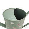 Plant Watering Can Retro Long Spout Spraying Pot 2L Iron Watering Can for Indoor Plants Garden Irrigation Watering bottle