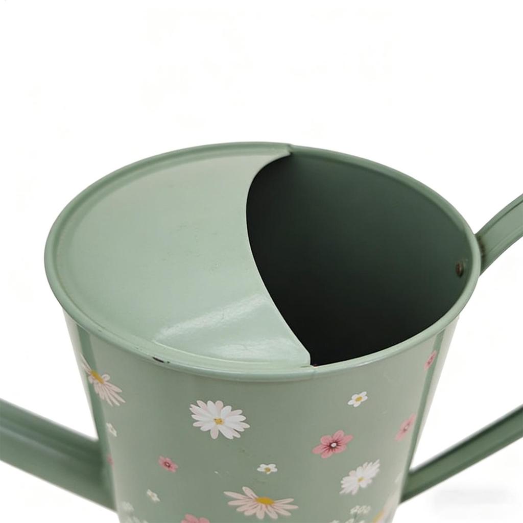 Plant Watering Can Retro Long Spout Spraying Pot 2L Iron Watering Can for Indoor Plants Garden Irrigation Watering bottle
