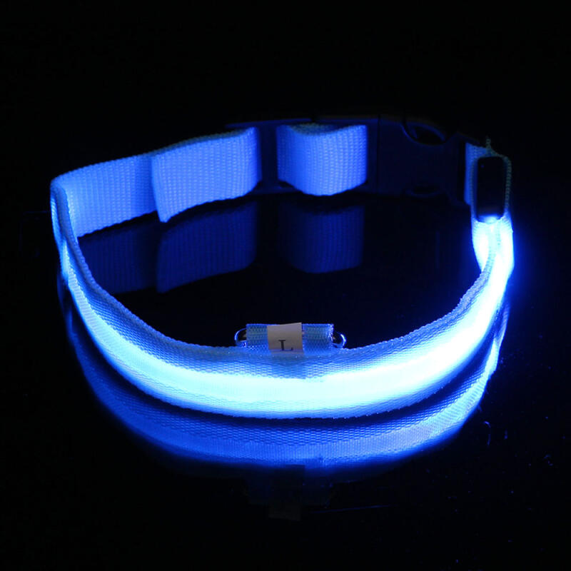 LED Dog Leash (L/Blue)