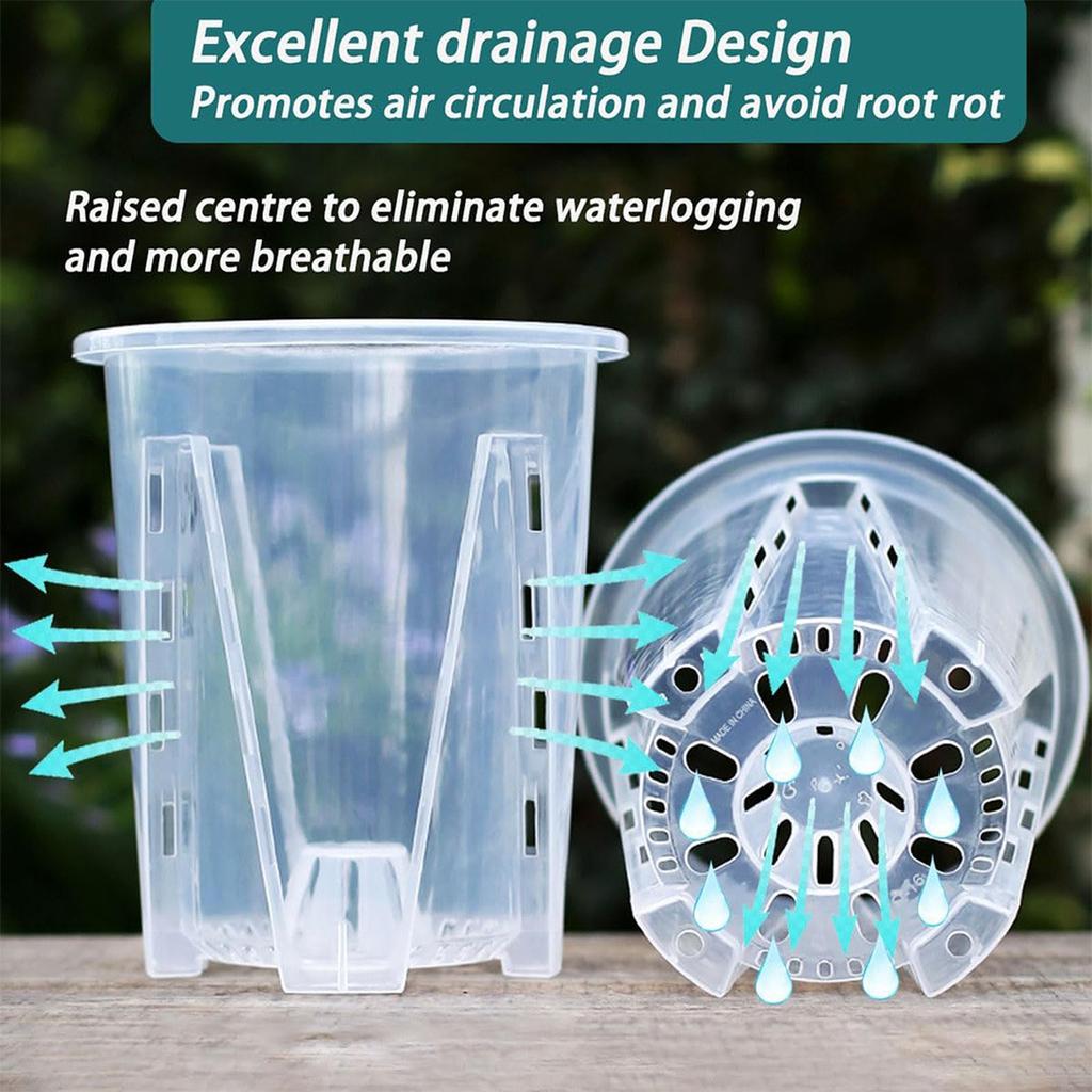 Clear Plastic Orchid Pot with Drainage Holes – Rooting Pot for Phalaenopsis & Moss Plants