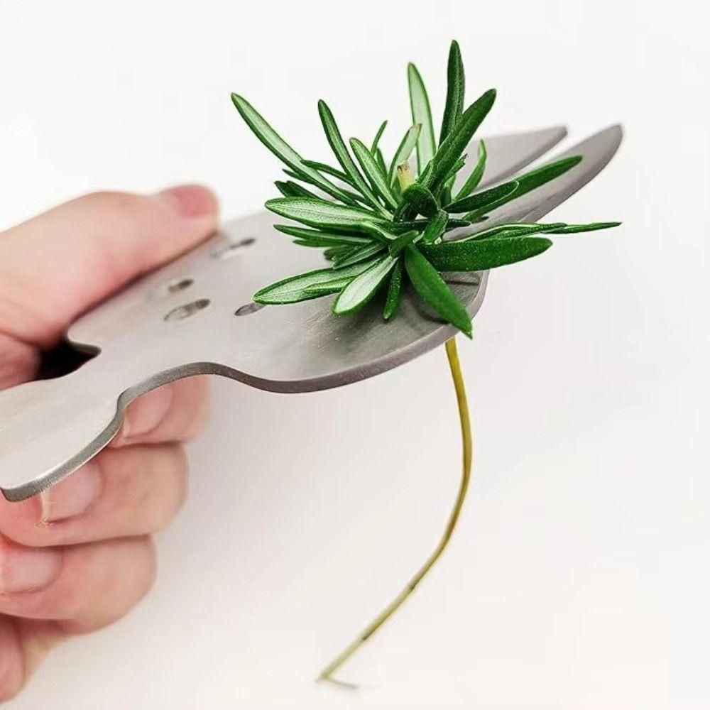 Safe Vegetable Leaf Separator Time-Saving 11-Hole Leaf Stripper Tool Herb Strippers  Kitchen