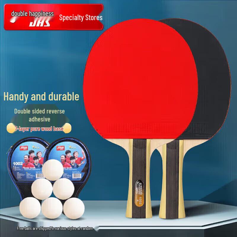 DHS 1-Star Table Tennis Racket