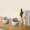 Practical Succulent Flower Pots Sturdy Silicone Mold Cement Plaster Craft Supplies for Garden and Indoor Decoration