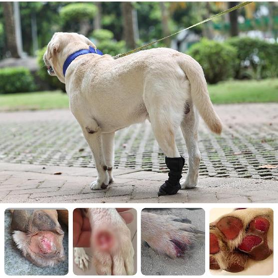 ETIAL Dog Paw Wound Recovery Boot, Breathable Dog Bootie for Injured Paw, Anti-Slip Dog Shoe with Self-Adhesive Strap, Dog Paw Protector for Outdoor