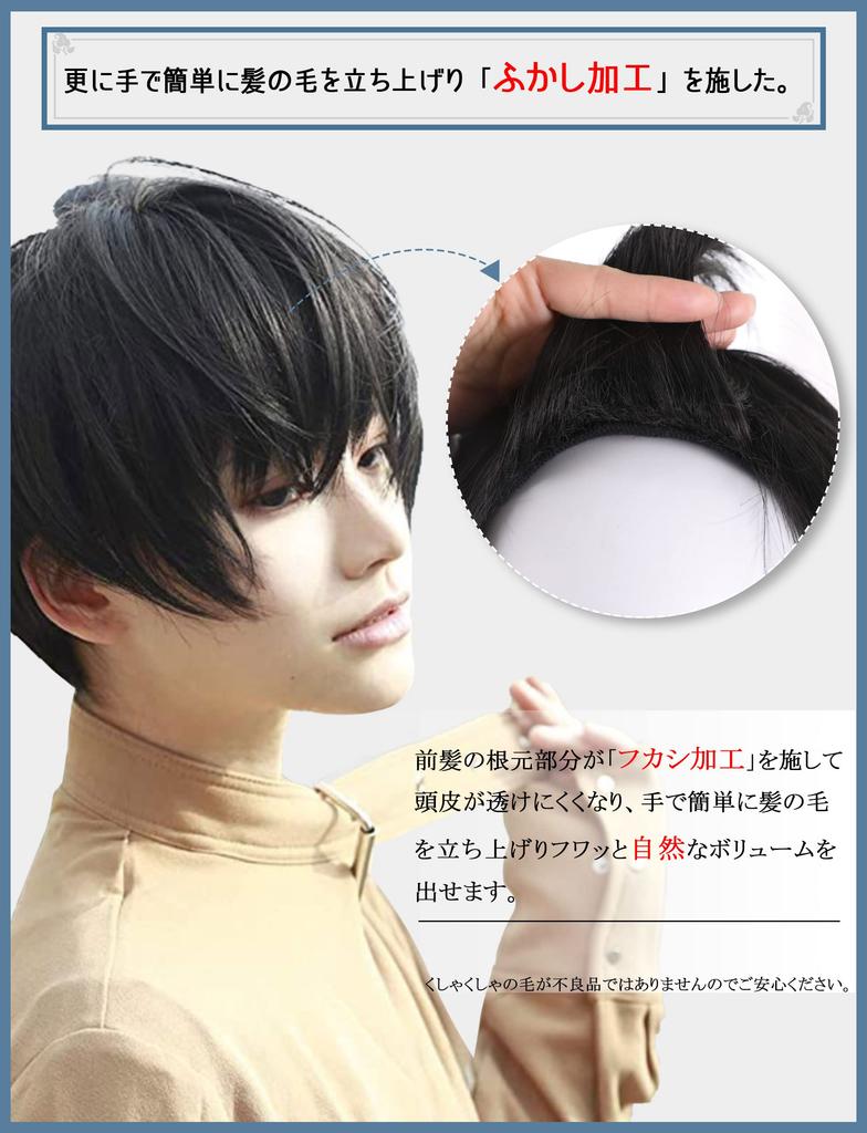 Next-generation Wig for Men, Short, Stylish, Natural-looking Hair, Heat-resistant, with Stand, Comb, and Net (black, AG01)