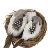 Craft Feathered Figurines Ornaments Lawn Parties Birds Egg Artificial Birds Home Decor Bird Nest