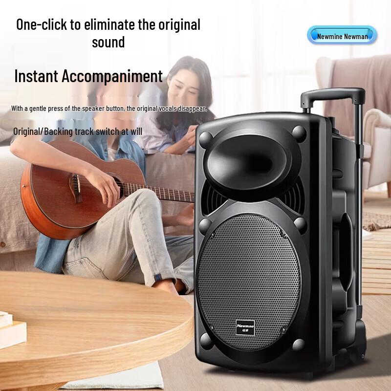 Newmine B12 12-inch Portable Bluetooth Trolley Speaker CN Plug (adapter Included)