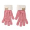 Thickened Winter Gloves Windproof Knitted Gloves Fashion Warm Gloves  Women