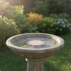 Bird Bath Purification Disk Universal Fit Birdbath Copper Disc Outdoor Water Care Reinforced Design Garden Decor