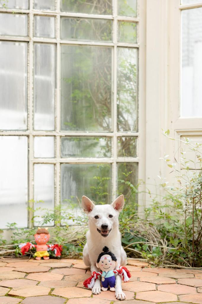 Plüschtier mit Seil Momotarou PTFAP14012)FAD