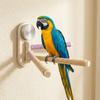 Suction Cup Parrot Rotating Stand Anti Slip Reptile Climbing Rack  Pet Interactive