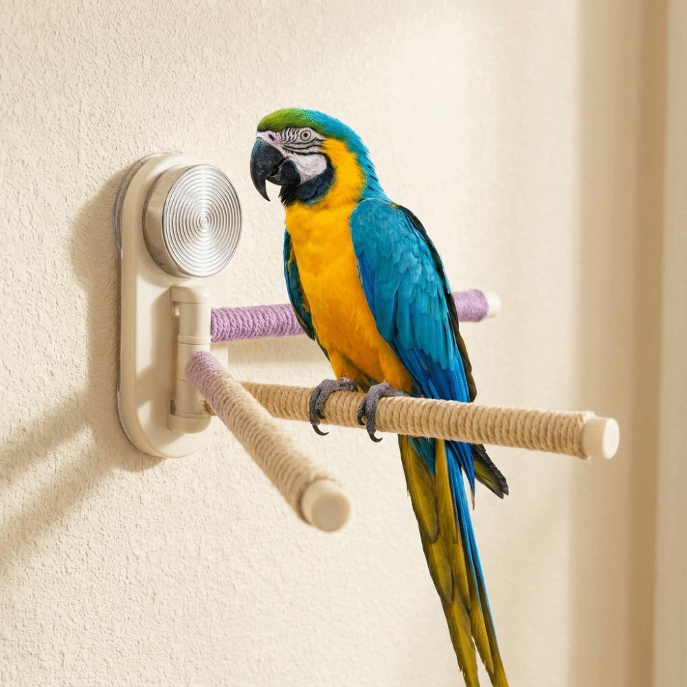Suction Cup Parrot Rotating Stand Anti Slip Reptile Climbing Rack Pet Interactive