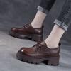 Women's Leather Shoes 2026 Spring New Collection Japanese Versatile Mary Jane Thick Soled Single Shoes for Women