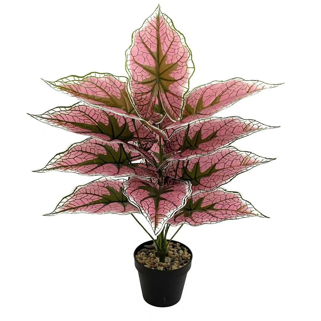 Nordic Style Taro Leaf Green Plant for Home Decor and Garden Landscaping