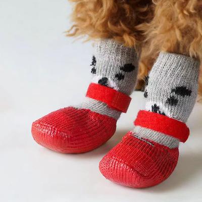Giyim ve ayakkabı – Köpek ayakkabıları