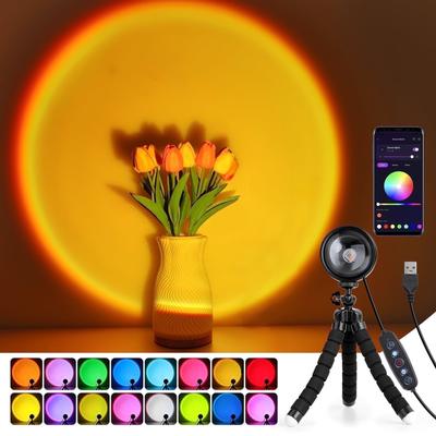 Cpeelsdo Sonnenuntergangslampe Projektor - Mehrfarbig wechselnde LED-Projektionslichter mit App-Steuerung für Schlafzimmer, Fotografie, Party, TikTok Live, Raumdeko
