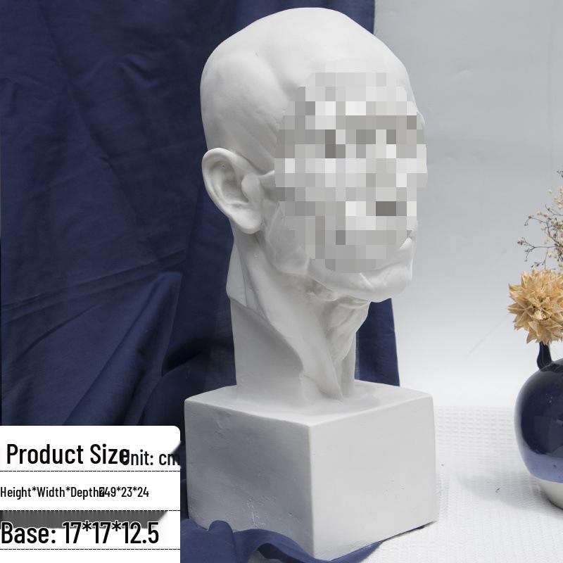 Plaster Cast Geometric Sculpture Set for Art and Photography