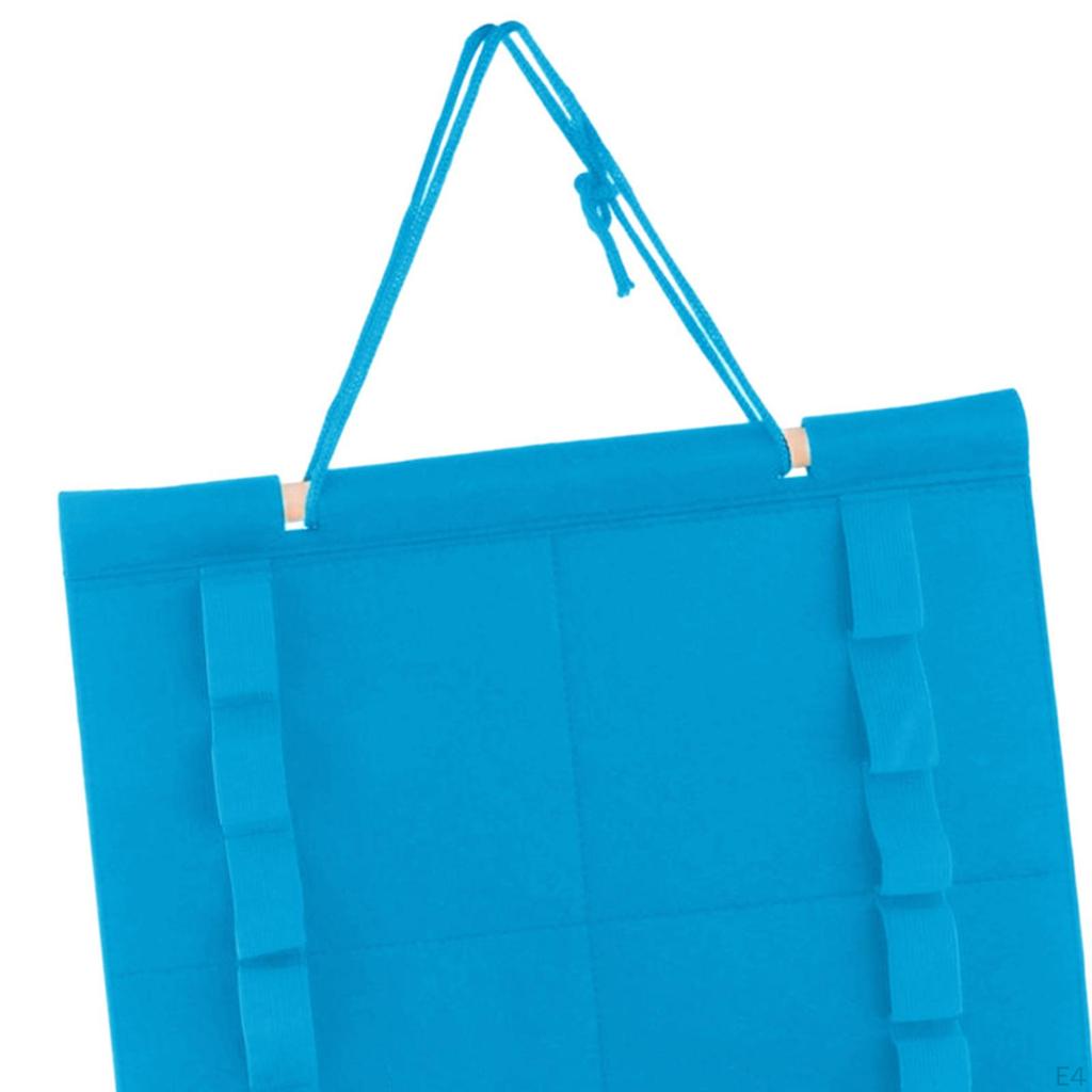 Arts Belt Holder for 12 Belts, Wall Hanging Display Organizer