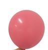 100 Pcs 12" Round Colorful Latex Balloons 2.8g for Halloween Valentine's Day & Christmas Party Decorations